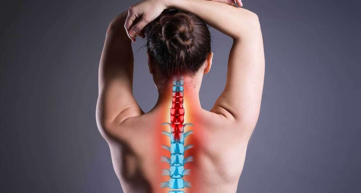 Neck, Spine and Back